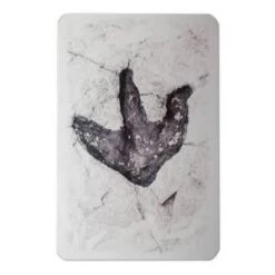 7 Familles "LES DINOS" - Ducale Le Jeu Français -Cartes Production 7 familles les dinos ducale le jeu francais 2