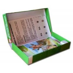 Cartatoto Récré Action ! Animaux Sauvages – Jeu De 44 Cartes Cartonnées Plastifiées -Cartes Production cartatoto recre action animaux sauvages jeu de 44 cartes cartonnees plastifiees 2