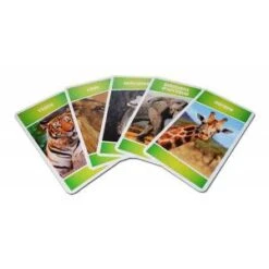 Cartatoto Récré Action ! Animaux Sauvages – Jeu De 44 Cartes Cartonnées Plastifiées -Cartes Production cartatoto recre action animaux sauvages jeu de 44 cartes cartonnees plastifiees 3