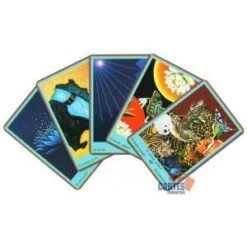 "L'ORACLE BLEU" -Cartes Production l oracle bleu jeu de 73 cartes 5