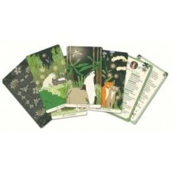 "LES ORACLES DE LA SORCIÈRE" -Cartes Production les oracles de la sorciere 4